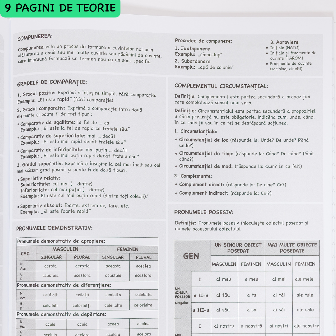 Caiet Interactiv Izzie de Română A4 (cu Teorie)