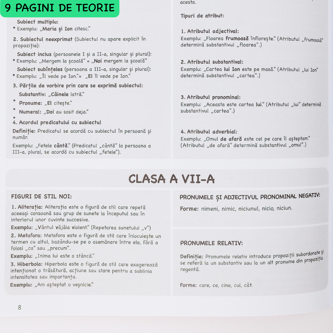 Caiet Interactiv Izzie de Română A4 (cu Teorie)