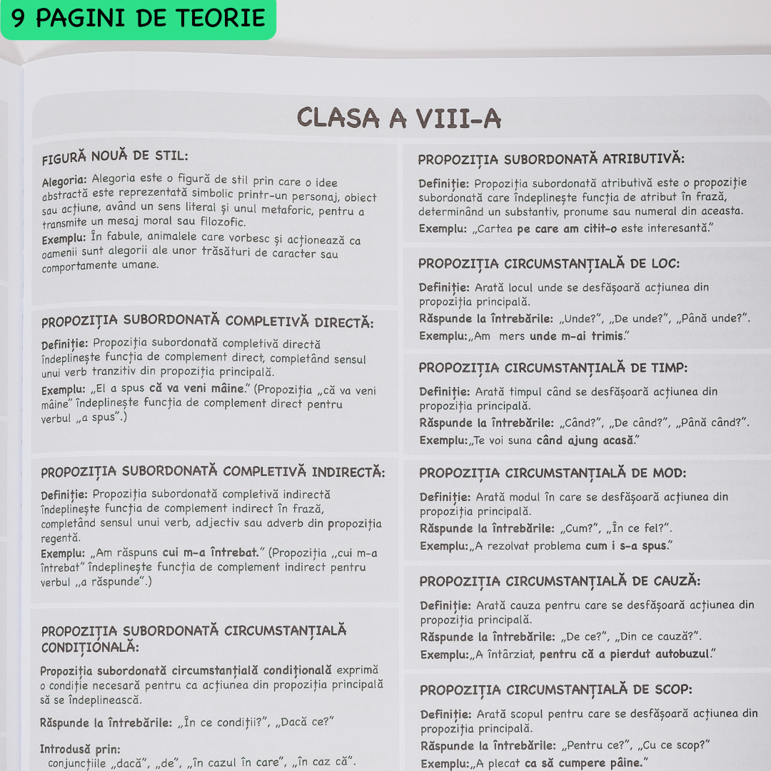 Caiet Interactiv Izzie de Română A4 (cu Teorie)