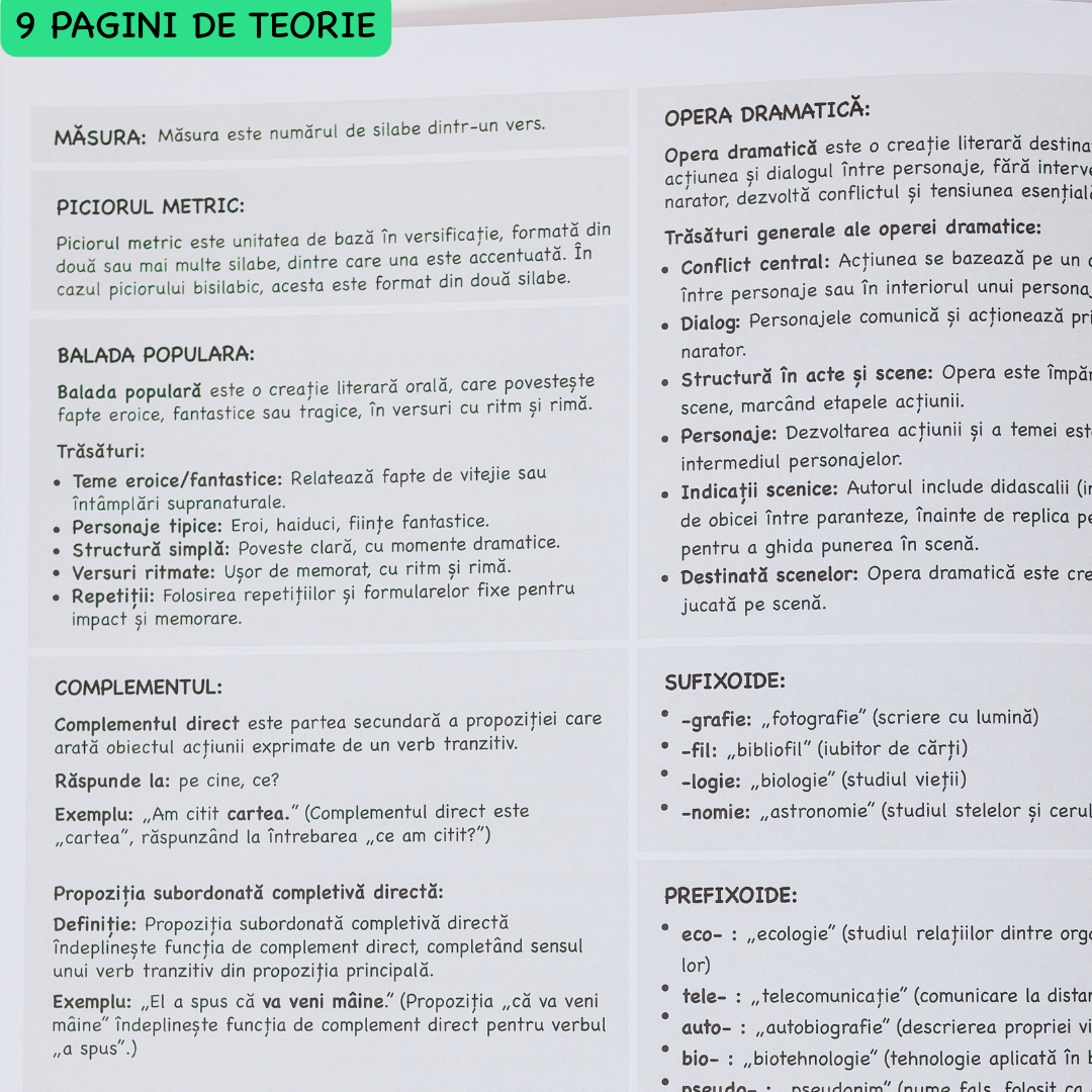 Caiet Izzie de Română A4 (cu Teorie)