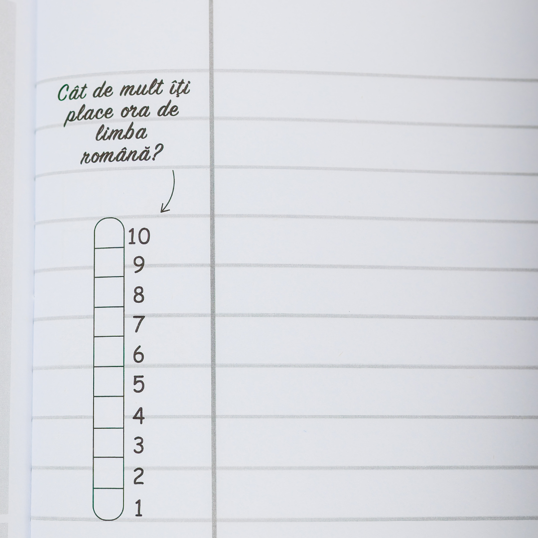 Set 4 Caiete: Mate, Română, Engleză, Fizică pentru MODULUL 2 (pentru clasele V-VIII)