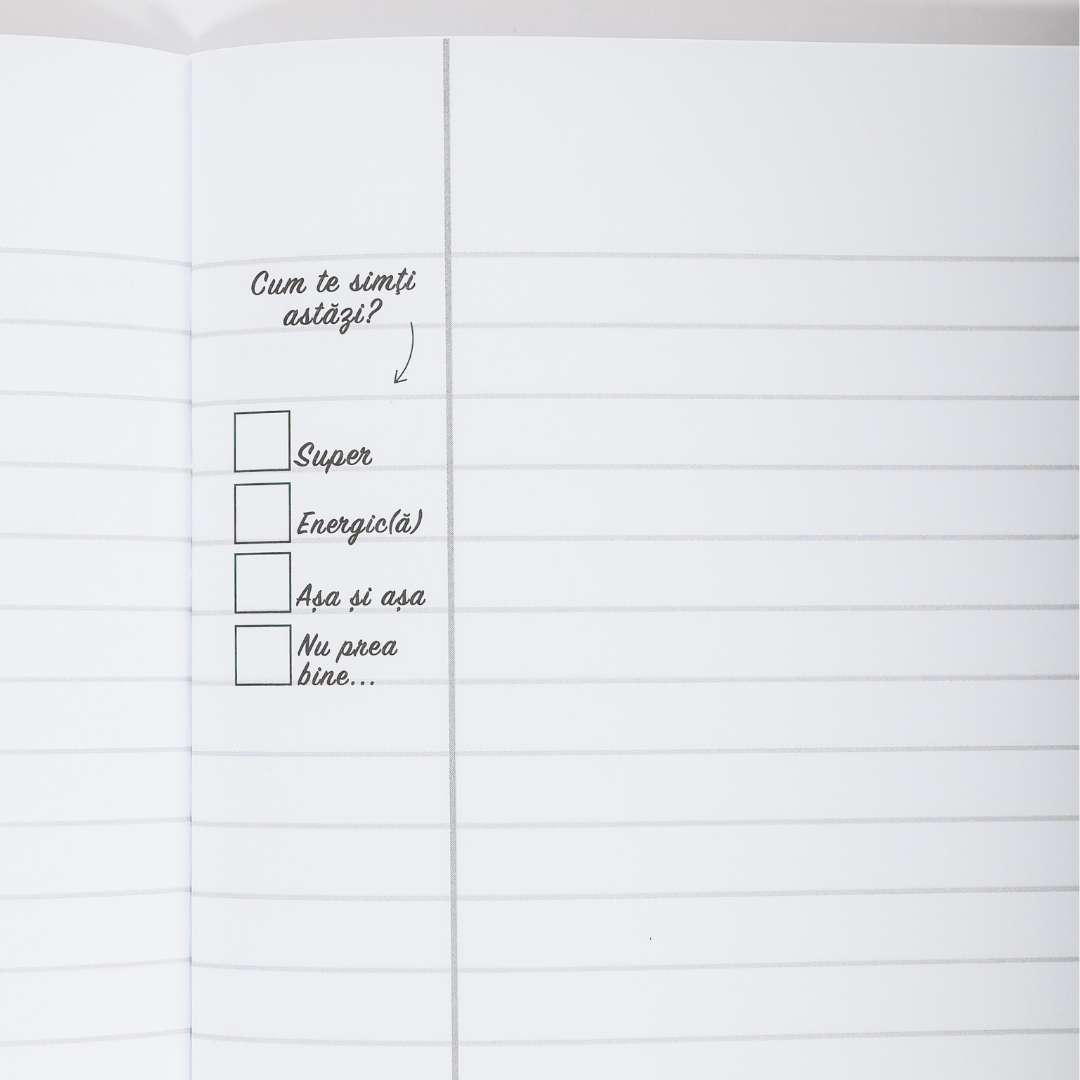 Setul Esențial la Română & Mate: 4 Caiete pentru Rezultate mai Bune