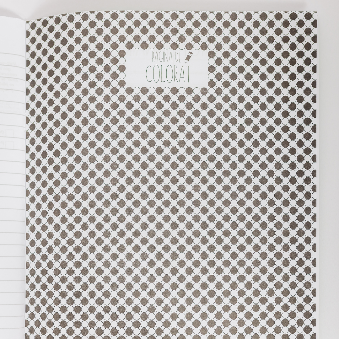 Set de 8 caiete: Mate, Română, Engleză, Franceză