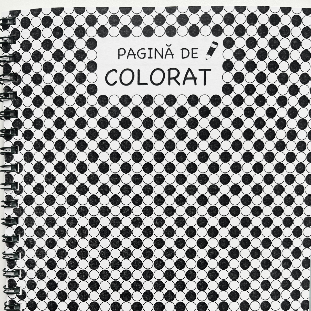 Pachet Esențial Clasa a III-a