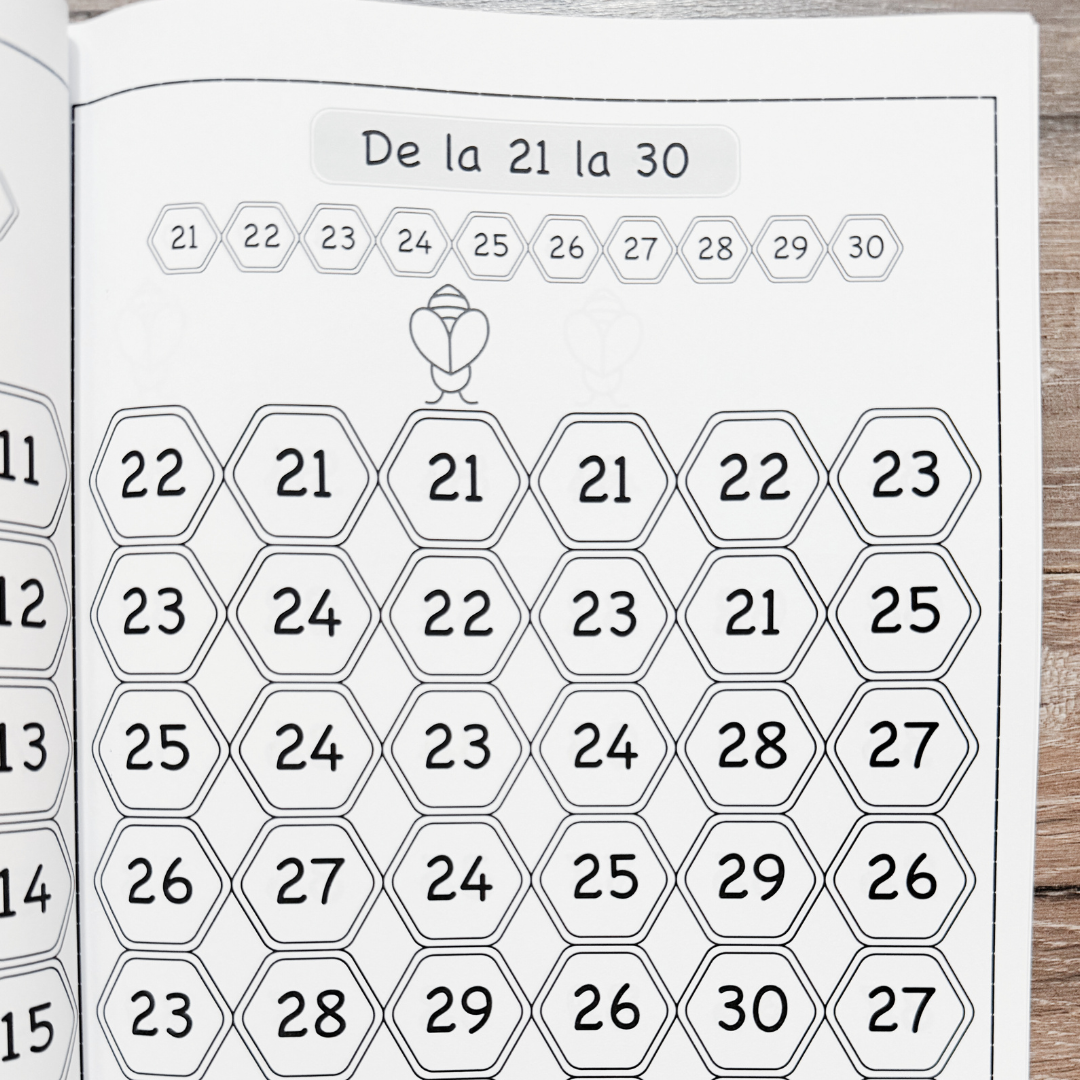 Caiet de Mate pentru Preșcolari: Descoperă Matematica