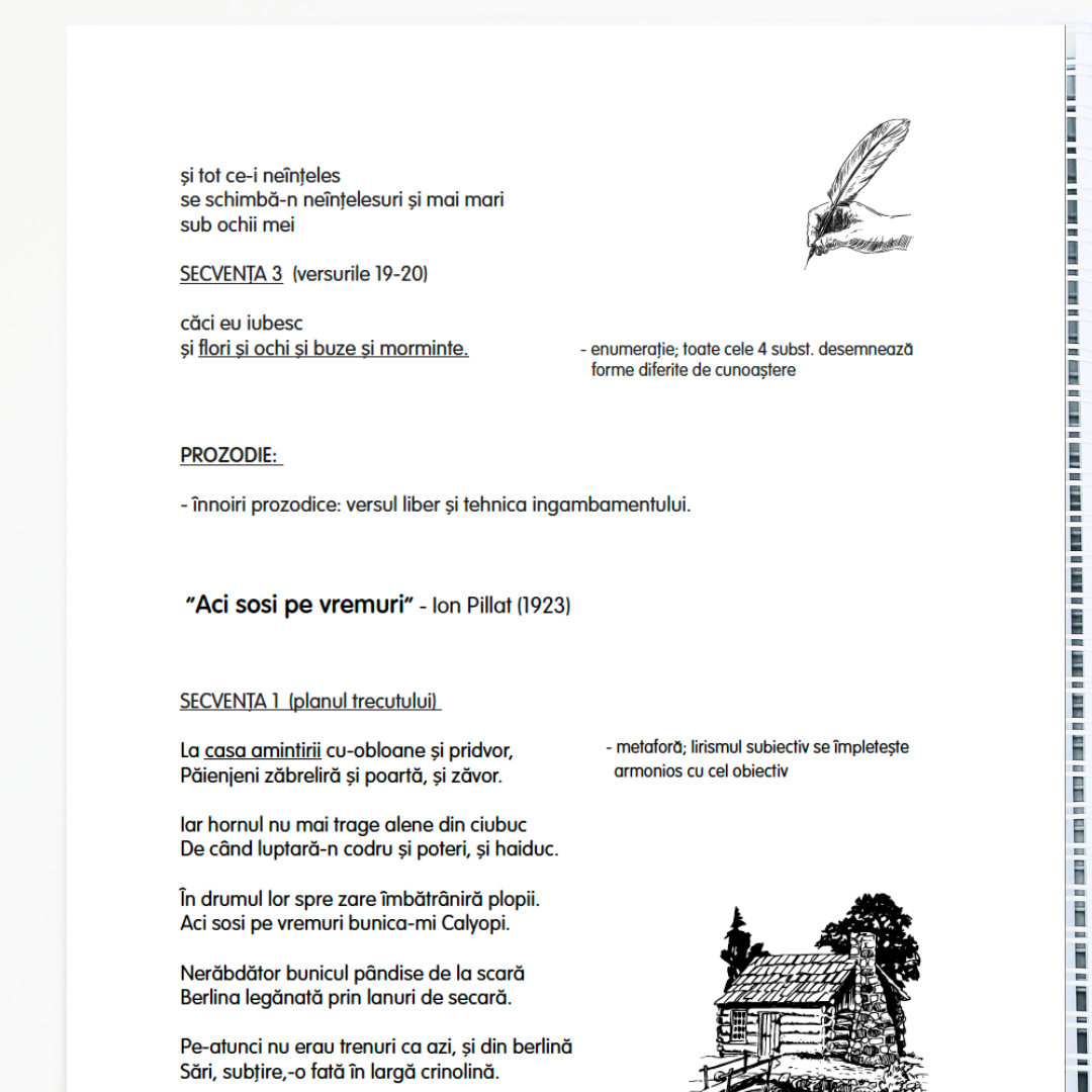 Caiet de Lucru pentru BAC – Limba și Literatura Română (clasa a XII-a)