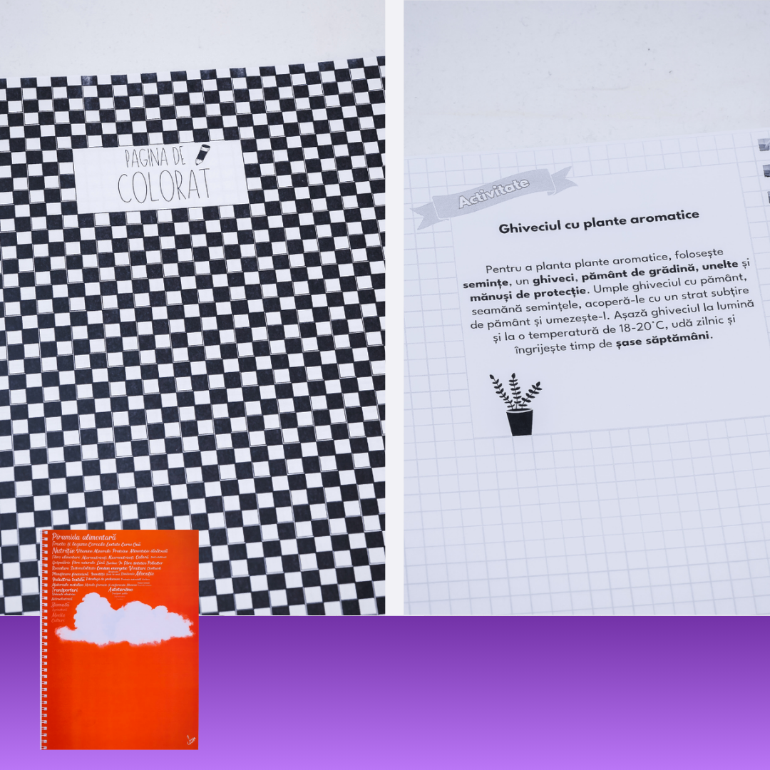 7+ 1 GRATIS: Pachet Personalizat de Caiete