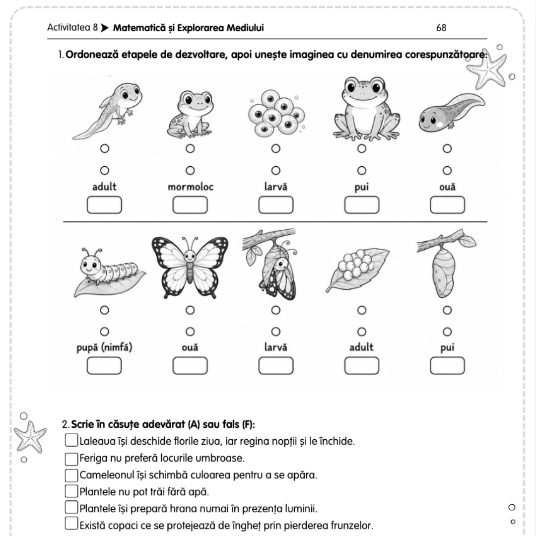Pachet de Vacanță pentru clasa a IV-a