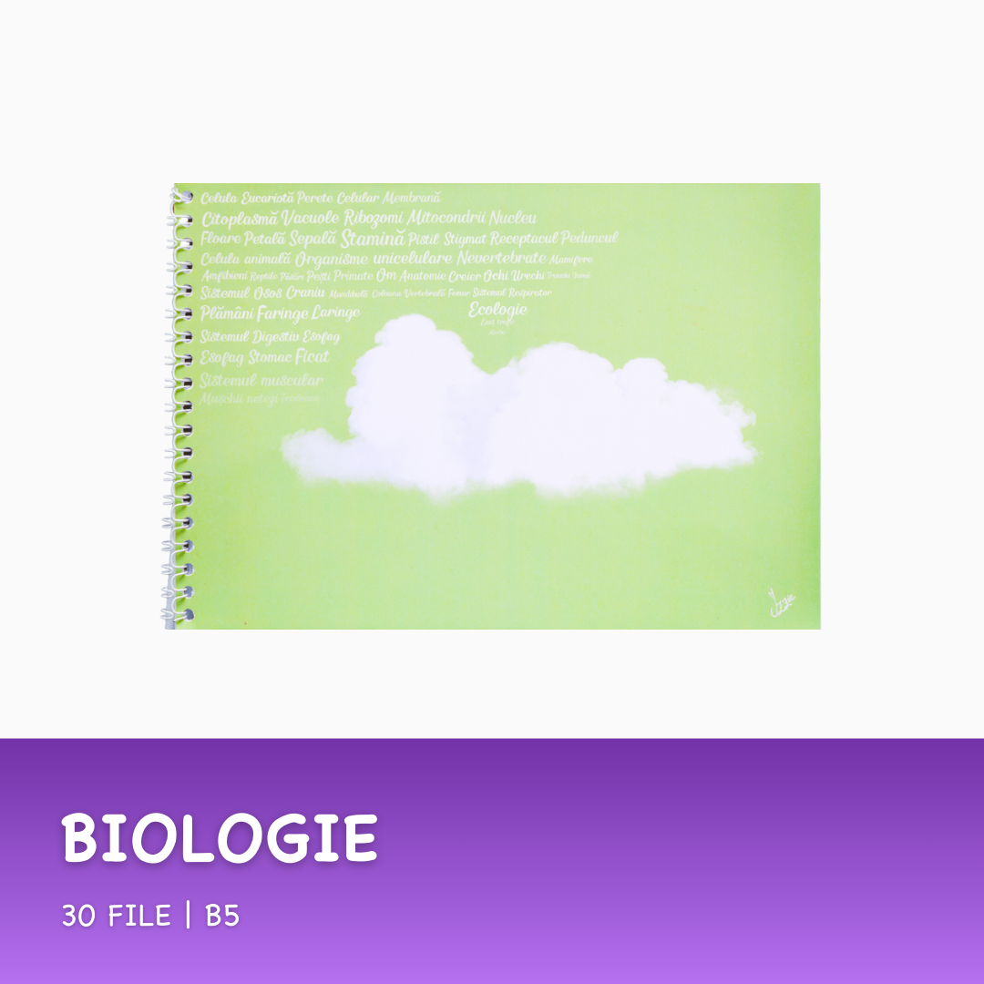 7+ 1 GRATIS: Pachet Personalizat de Caiete