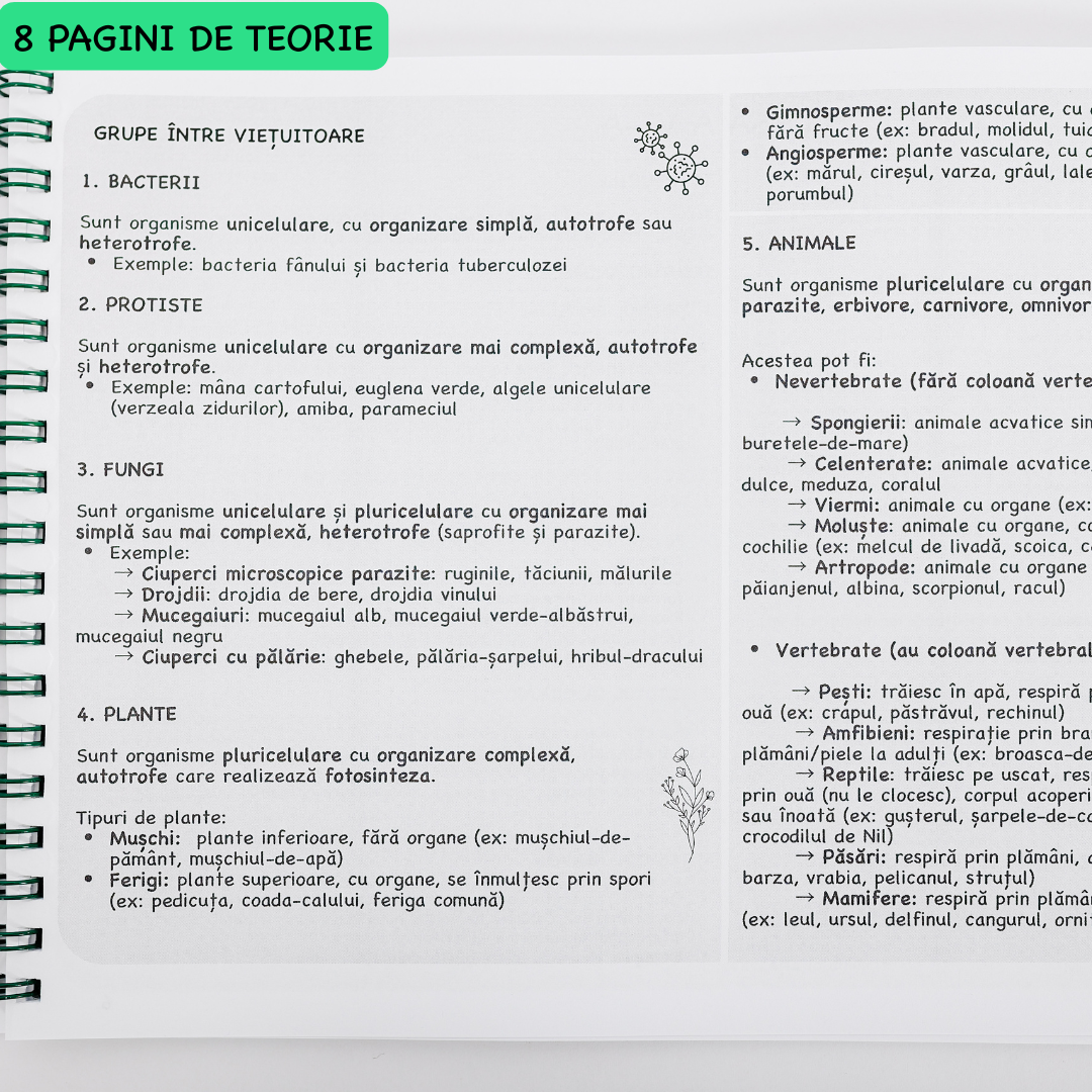 Caiet Interactiv Izzie de Biologie B5 (cu Teorie)