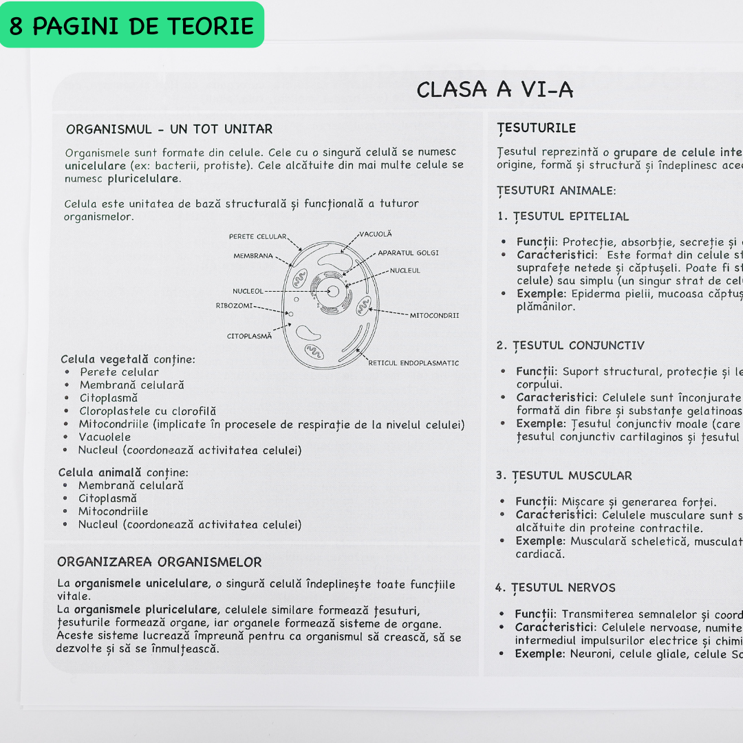 Caiet Izzie de Biologie B5 (cu Teorie)