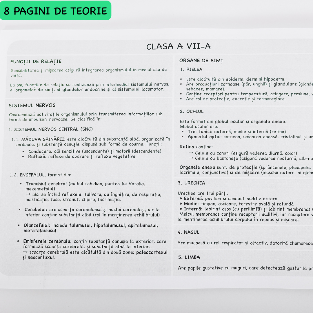 Caiet Interactiv Izzie de Biologie B5 (cu Teorie)