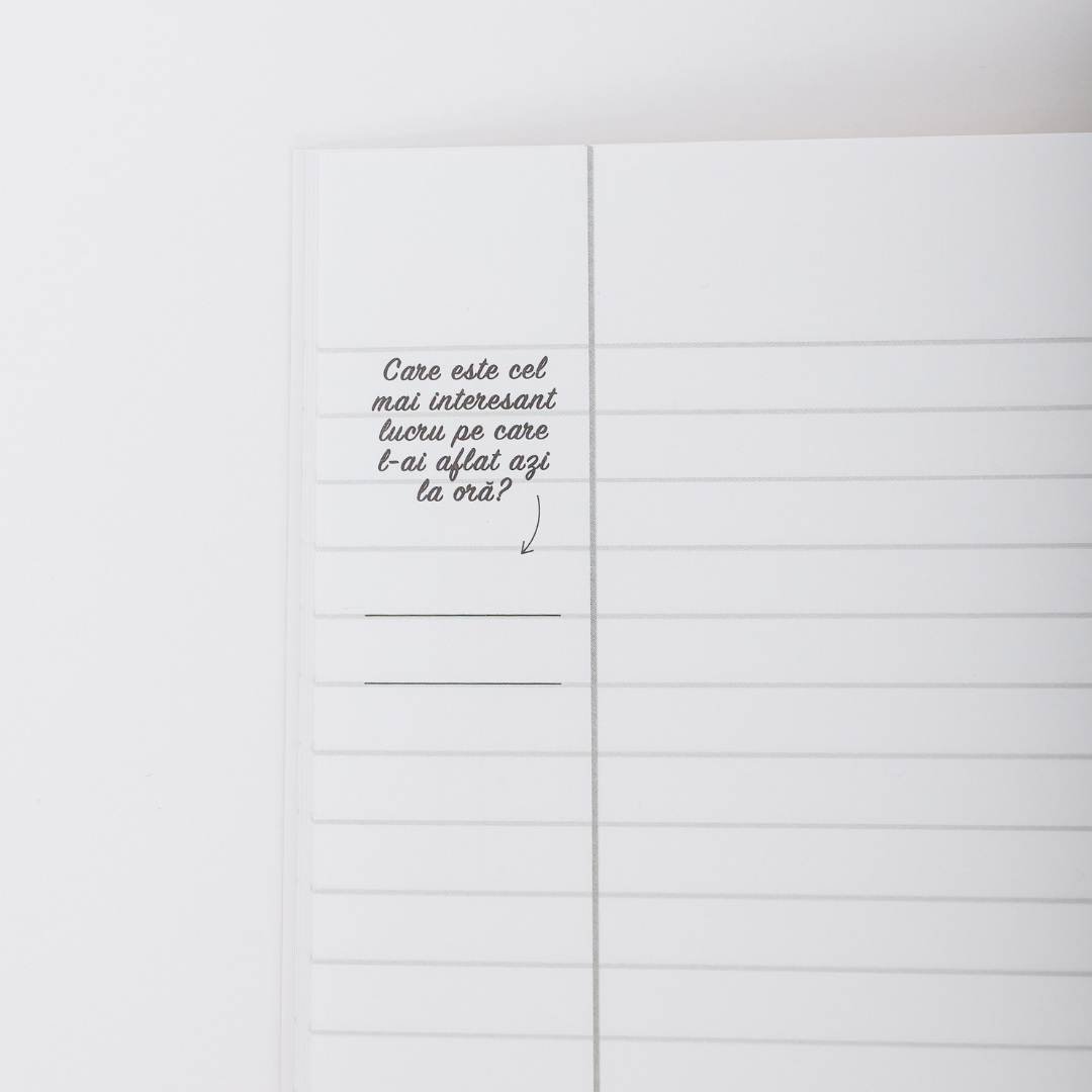 Caiet Izzie de Istorie A4 (cu Teorie)