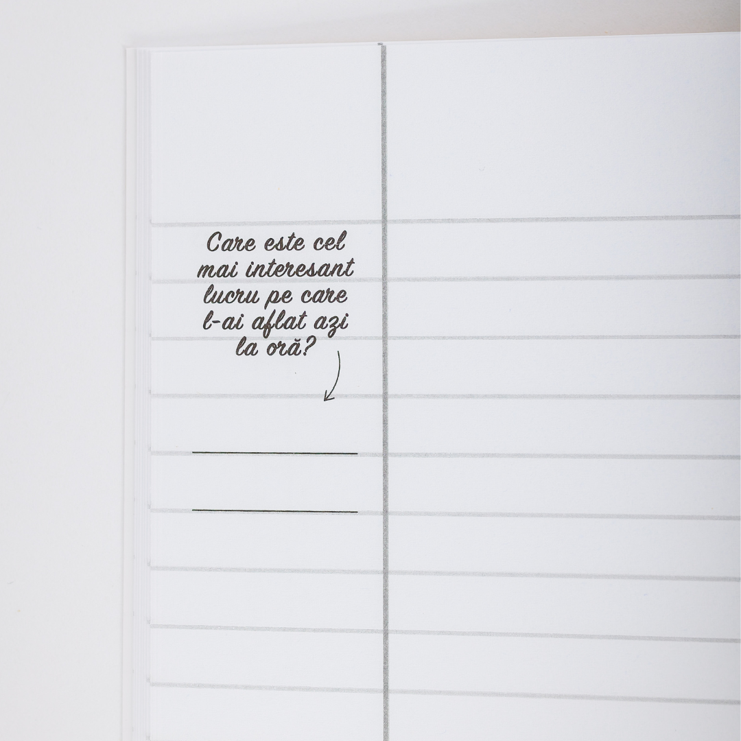 Caiet Izzie de Istorie A4 (cu Teorie)