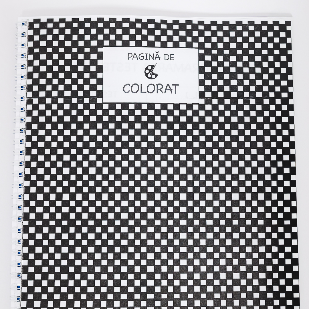 Caiet Izzie de T.I.C. (cu Teorie)