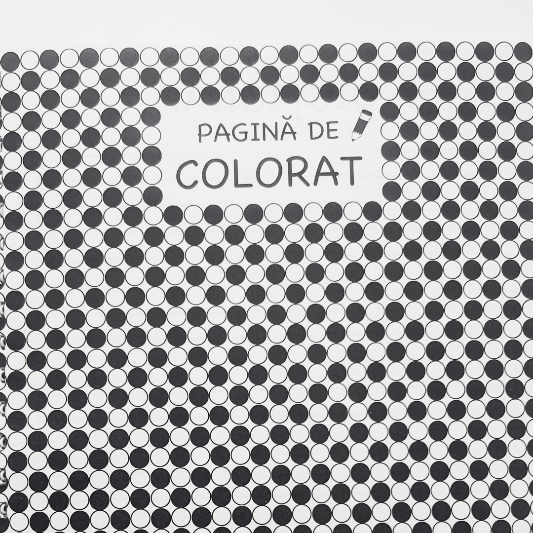 Set complet clasa a II-a: Română + Matematică