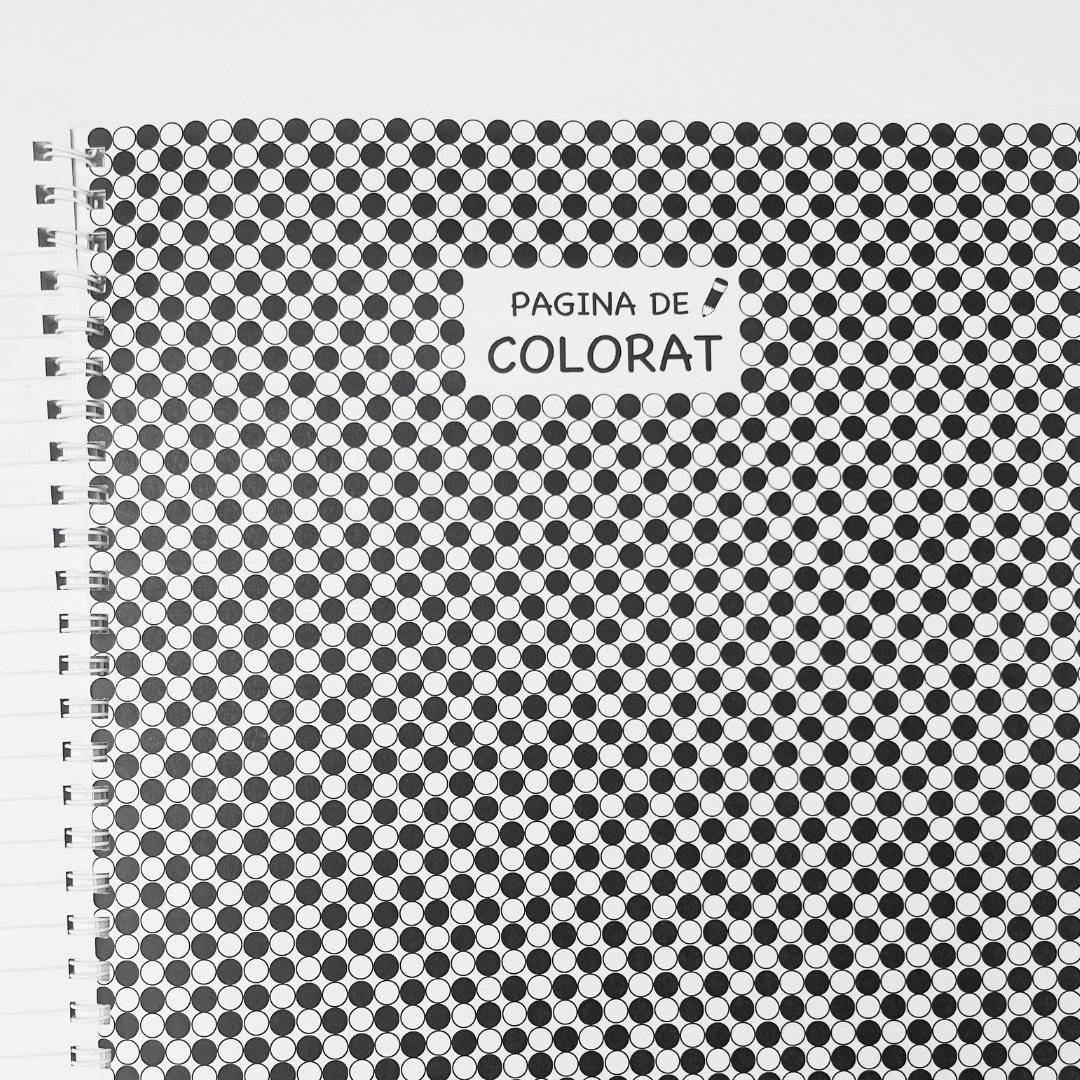 Pachetul Esențial Clasa a IV-a