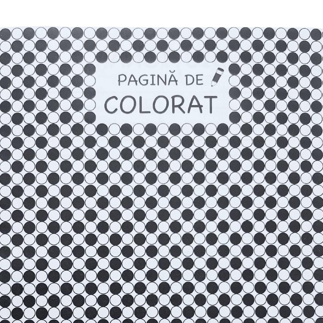 Caiet de Comunicare în Limba Română - Clasa a II-a