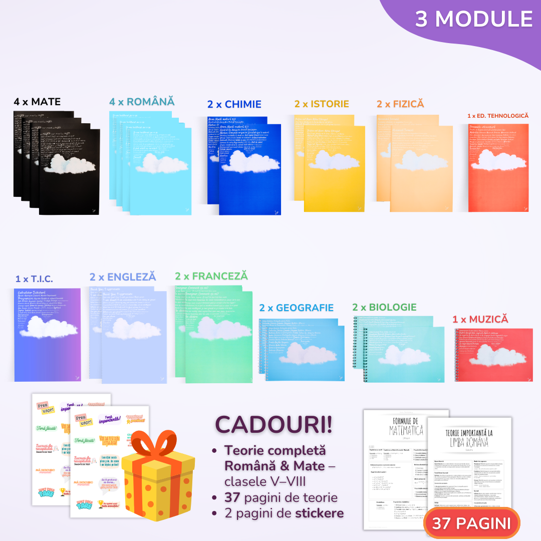 Pachet de Excelență pentru clasa a VIII-a