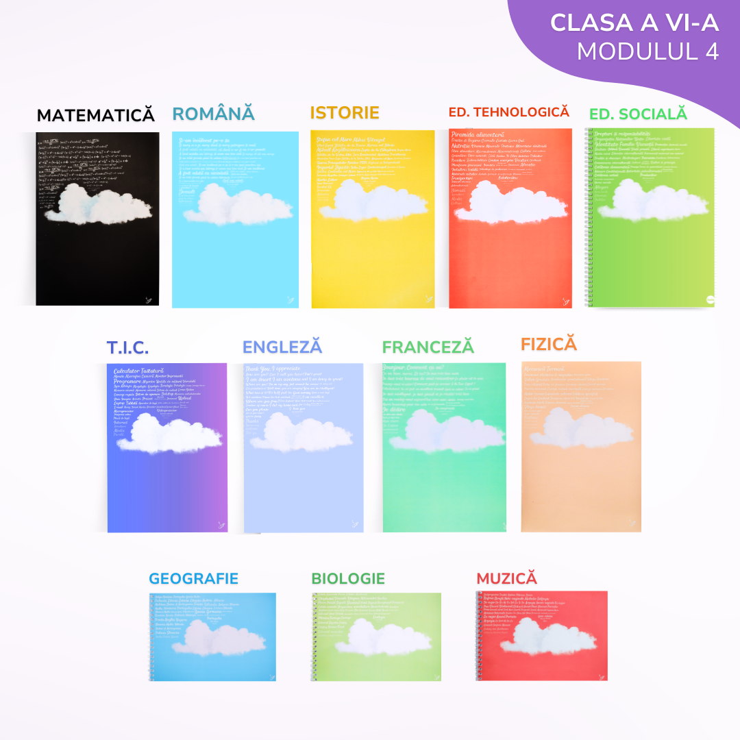 Pachet complet 11 Caiete Izzie: Clasa a VI-a, Modulul 4