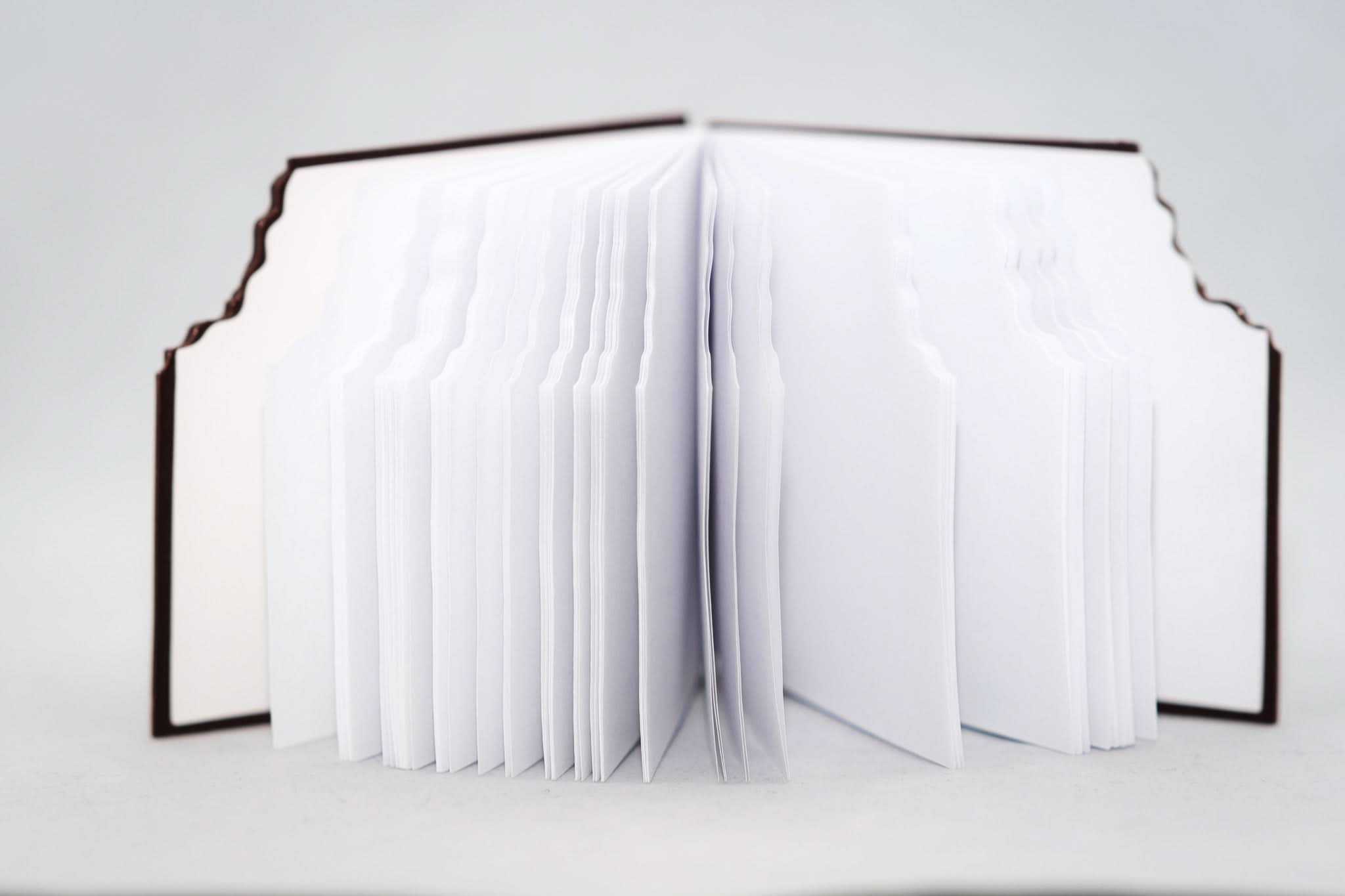 Cioco - Agenda cu Lapte - Izzie Publishing