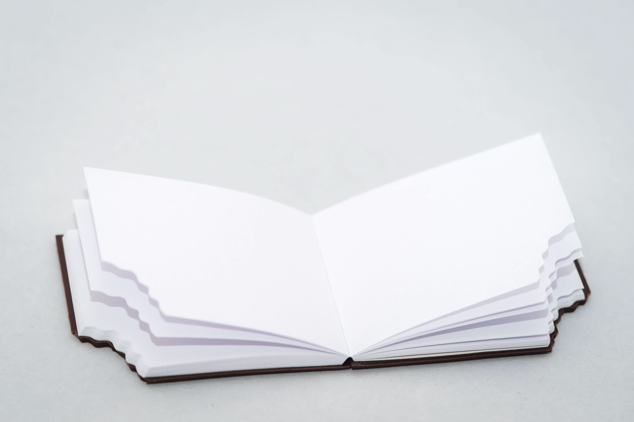 Cioco - Agenda cu Lapte - Izzie Publishing