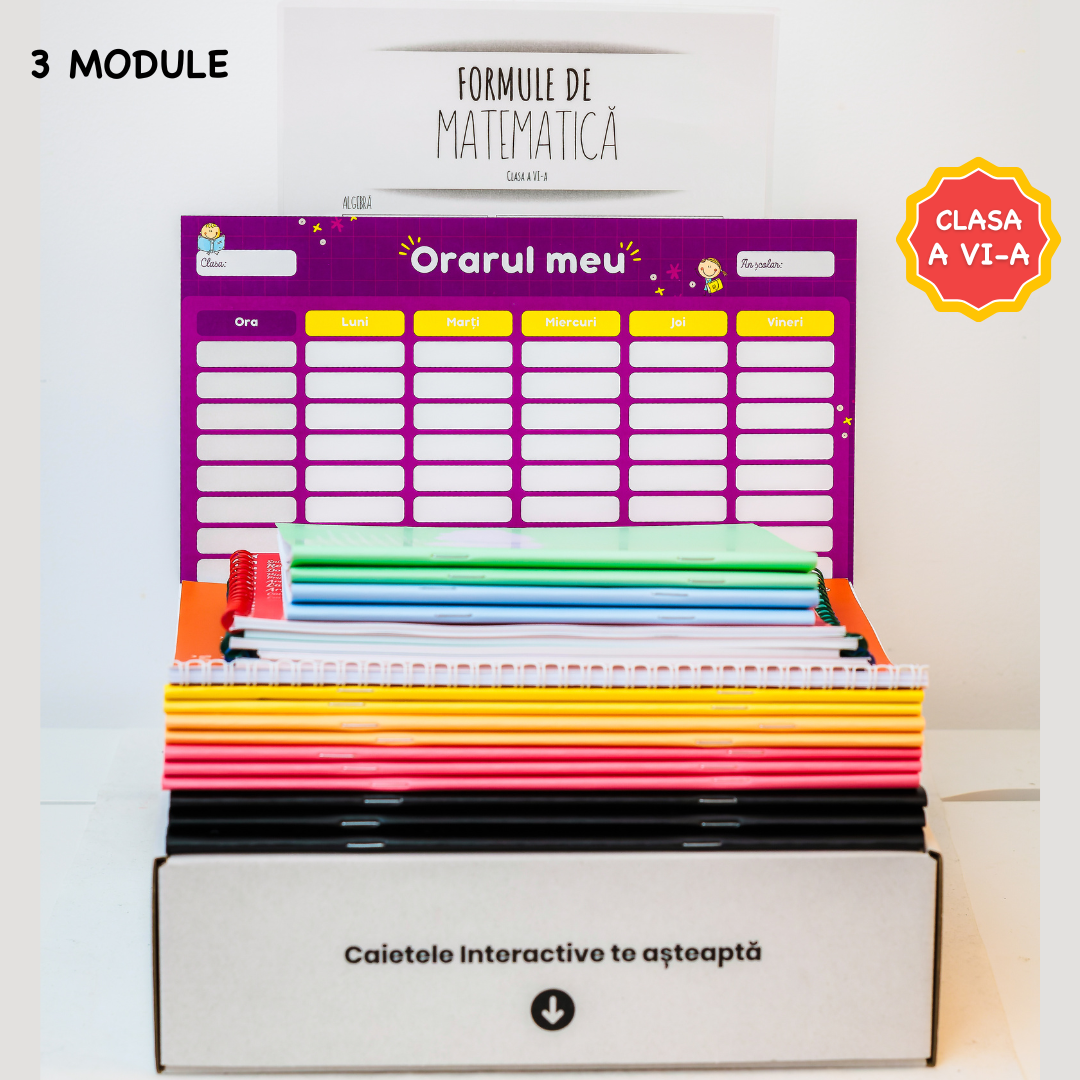 Pachet de Excelență pentru Clasa a VI-a