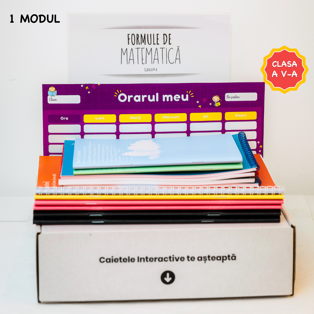 Pachet de Excelență pentru Clasa a V-a