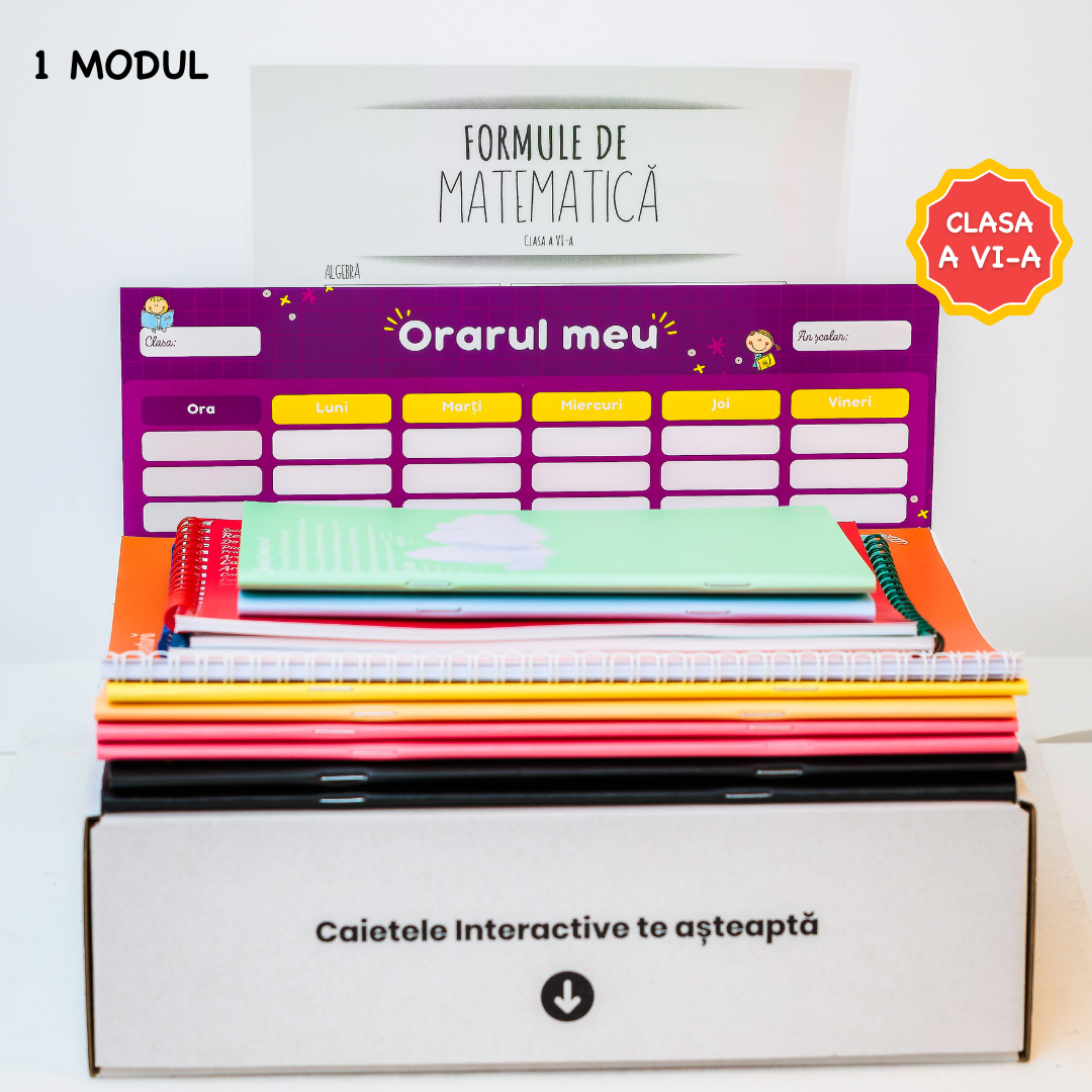 Pachet de Excelență pentru Clasa a VI-a