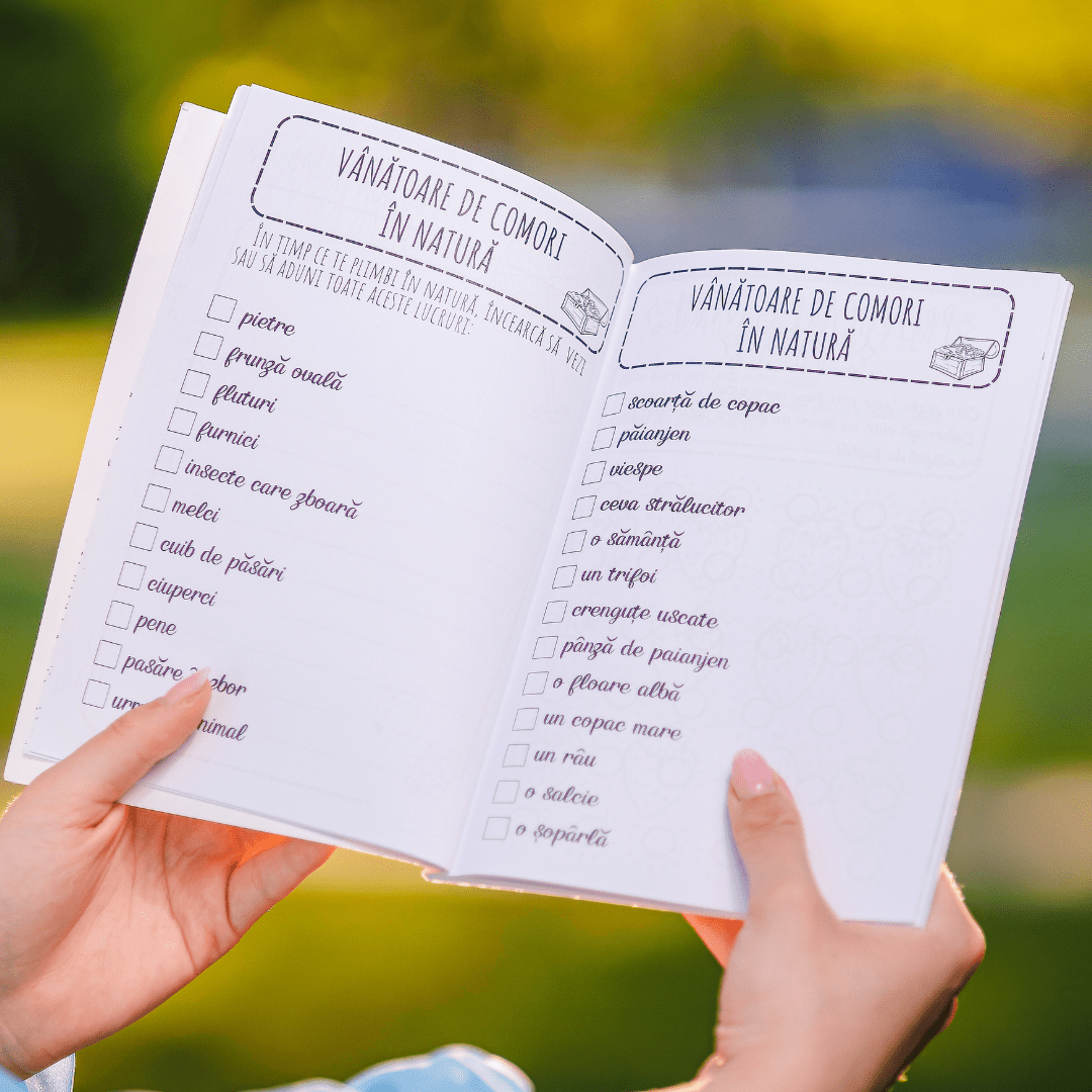 Jurnal de vară - Izzie Publishing