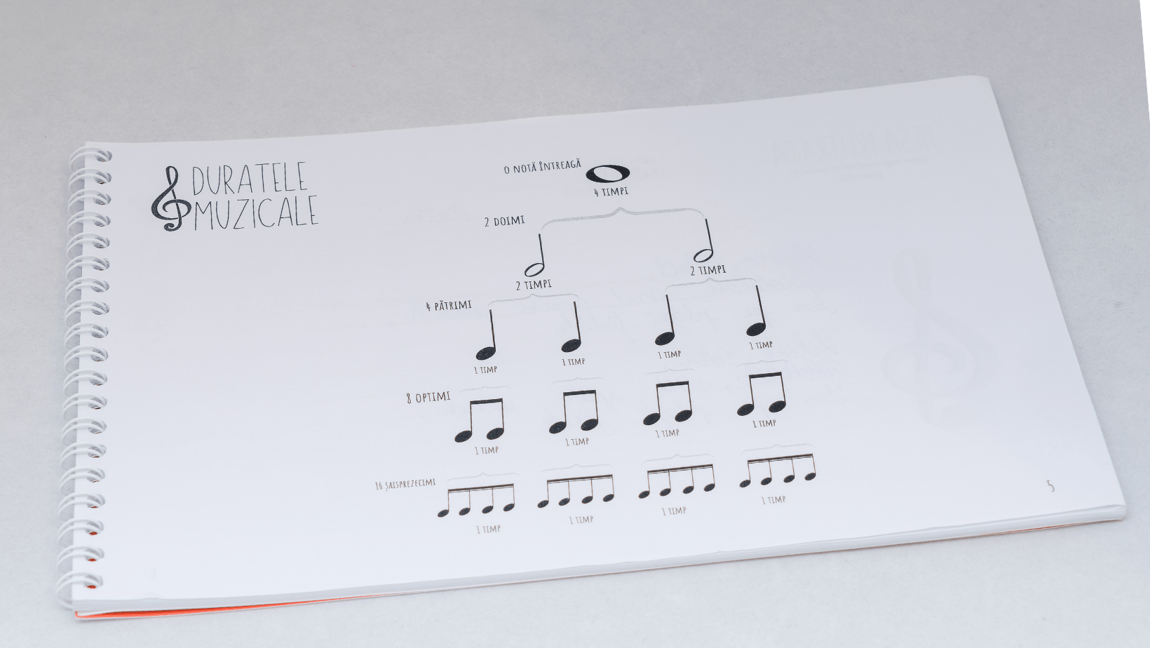 Set 3 Caiete: Biologie + Geografie + Muzică - Izzie Publishing