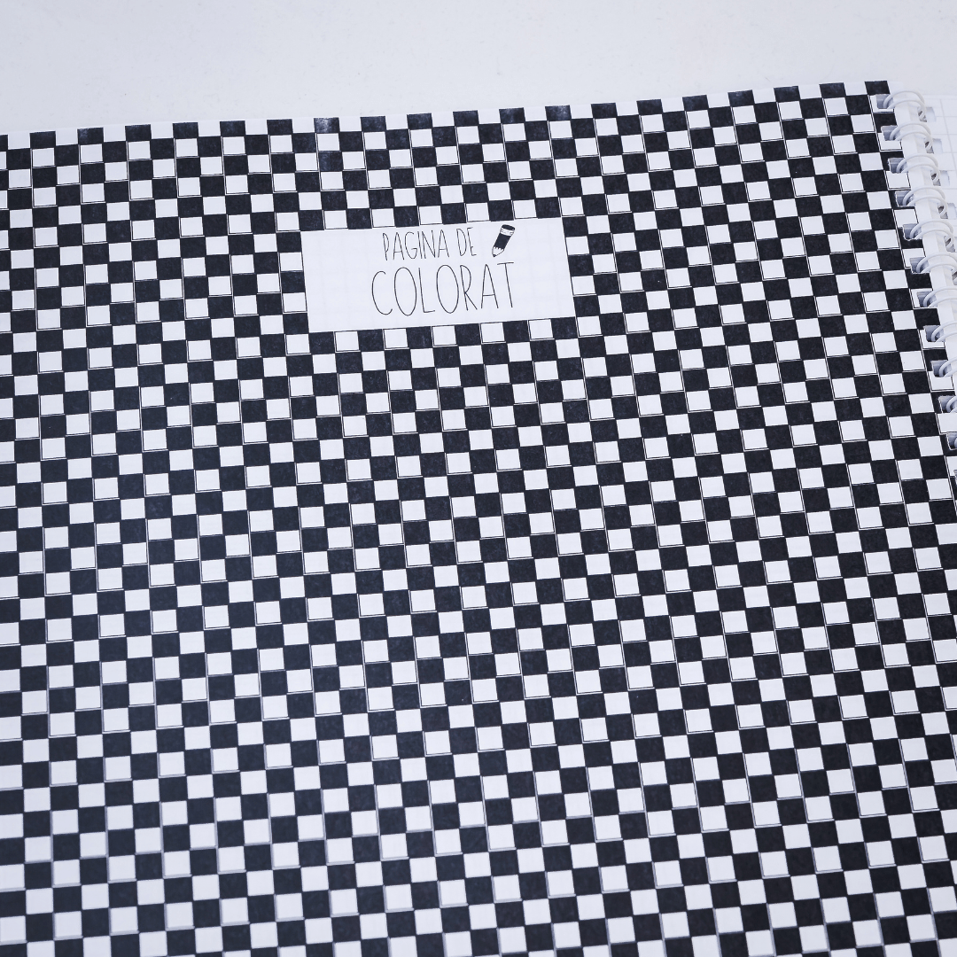 Set 3 Caiete de: Chimie, Ed. Tehnologică + Fizică - Izzie Publishing