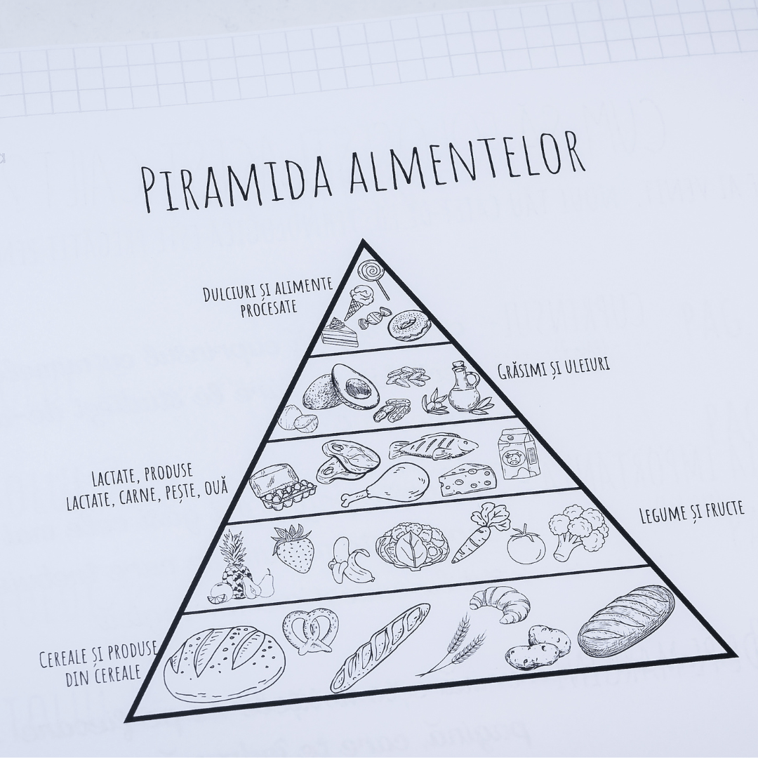 Set 3 Caiete de: Chimie, Ed. Tehnologică + Fizică - Izzie Publishing