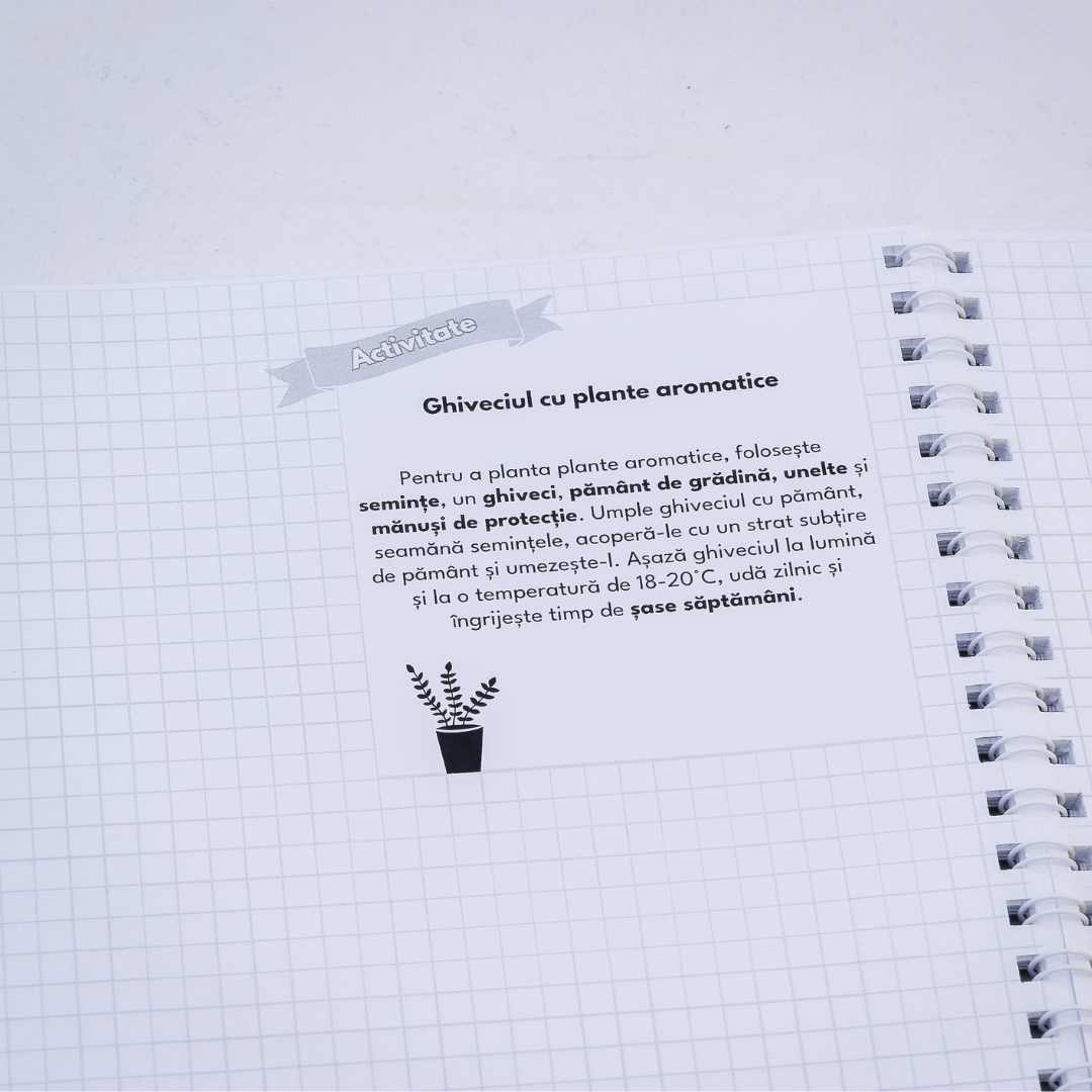 Set 3 Caiete de: Chimie, Ed. Tehnologică + Fizică - Izzie Publishing