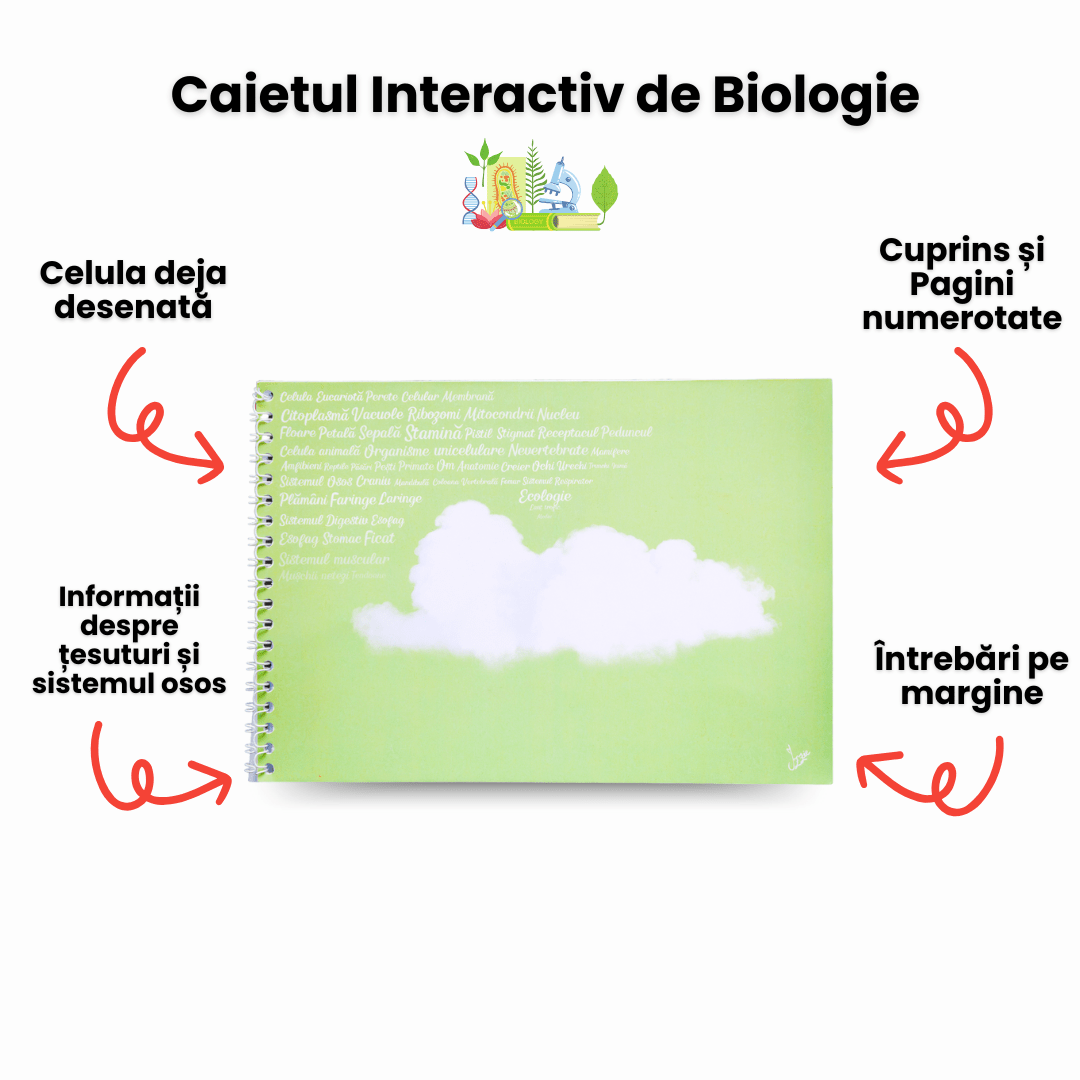 Set 5 Caiete: Mate (cu Formule și Stickere) + Română (cu Teorie și Stickere) + Fizică + Geografie + Biologie - Izzie Publishing