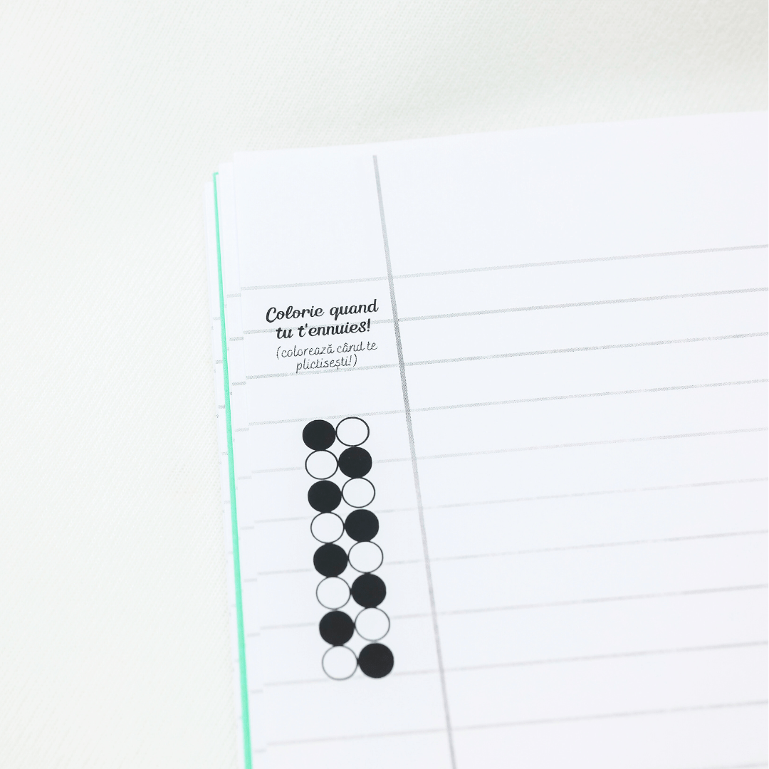 Set 6 Caiete: Mate + Română +Fizică + Franceză + Engleză + Chimie - Izzie Publishing