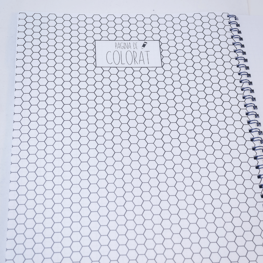 Set 6 Caiete: Mate + Română +Fizică + Franceză + Engleză + Chimie - Izzie Publishing