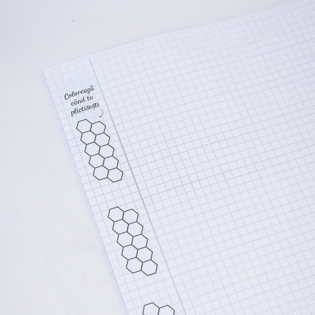 Set 6 Caiete: Mate + Română +Fizică + Franceză + Engleză + Chimie - Izzie Publishing