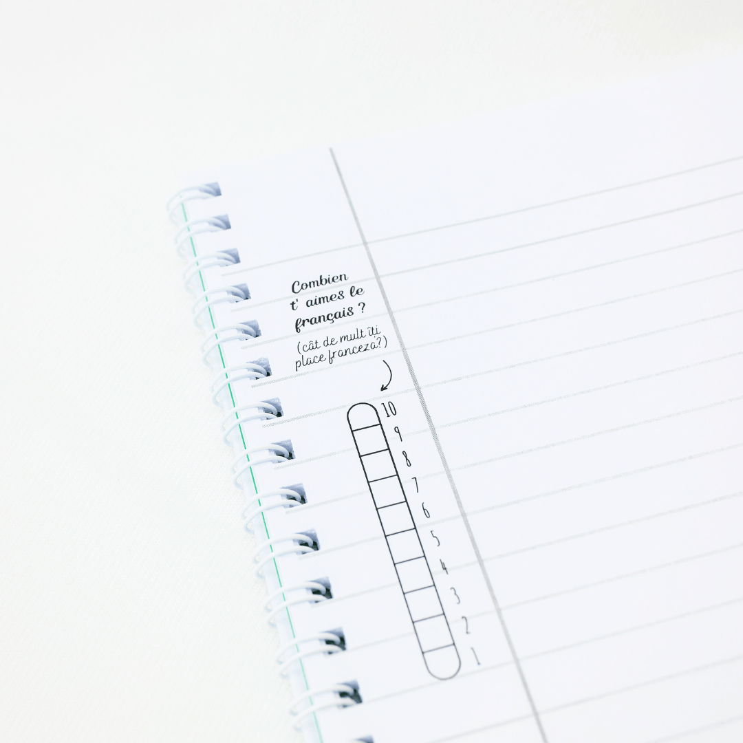 Set 6 Caiete: Mate + Română +Fizică + Franceză + Engleză + Chimie - Izzie Publishing