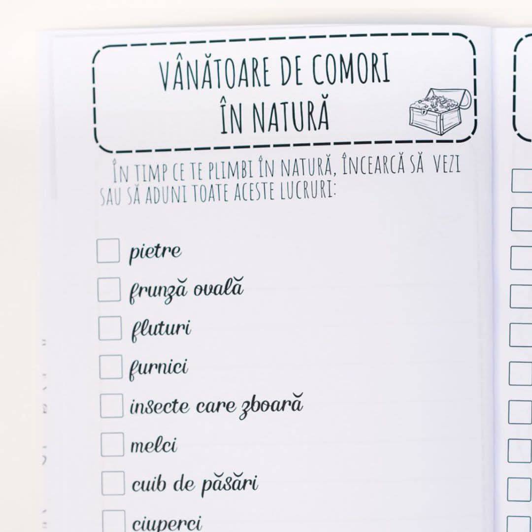 Jurnal de vară - Izzie Publishing