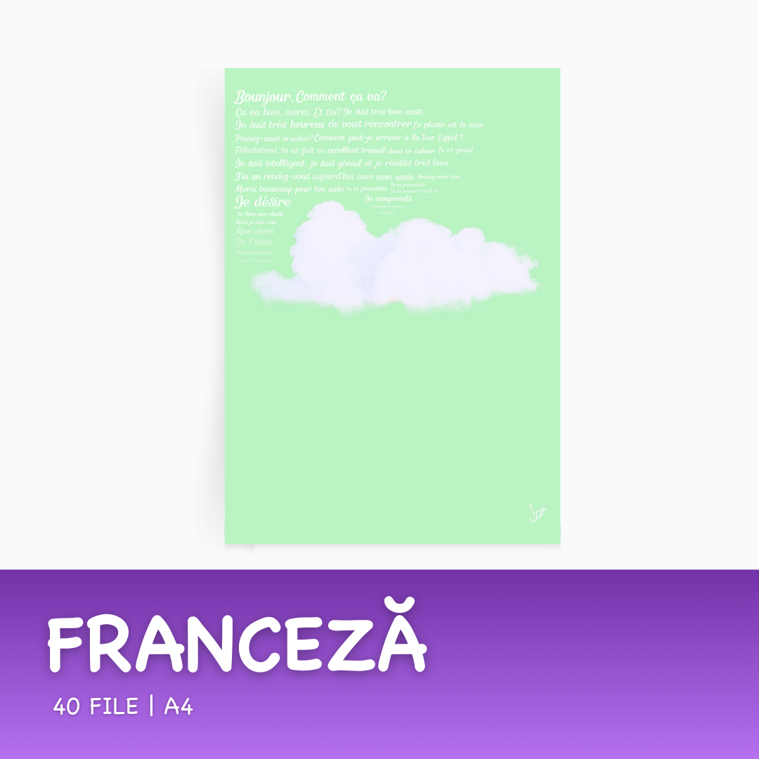Mini set: 4 Caiete Izzie (la alegere)