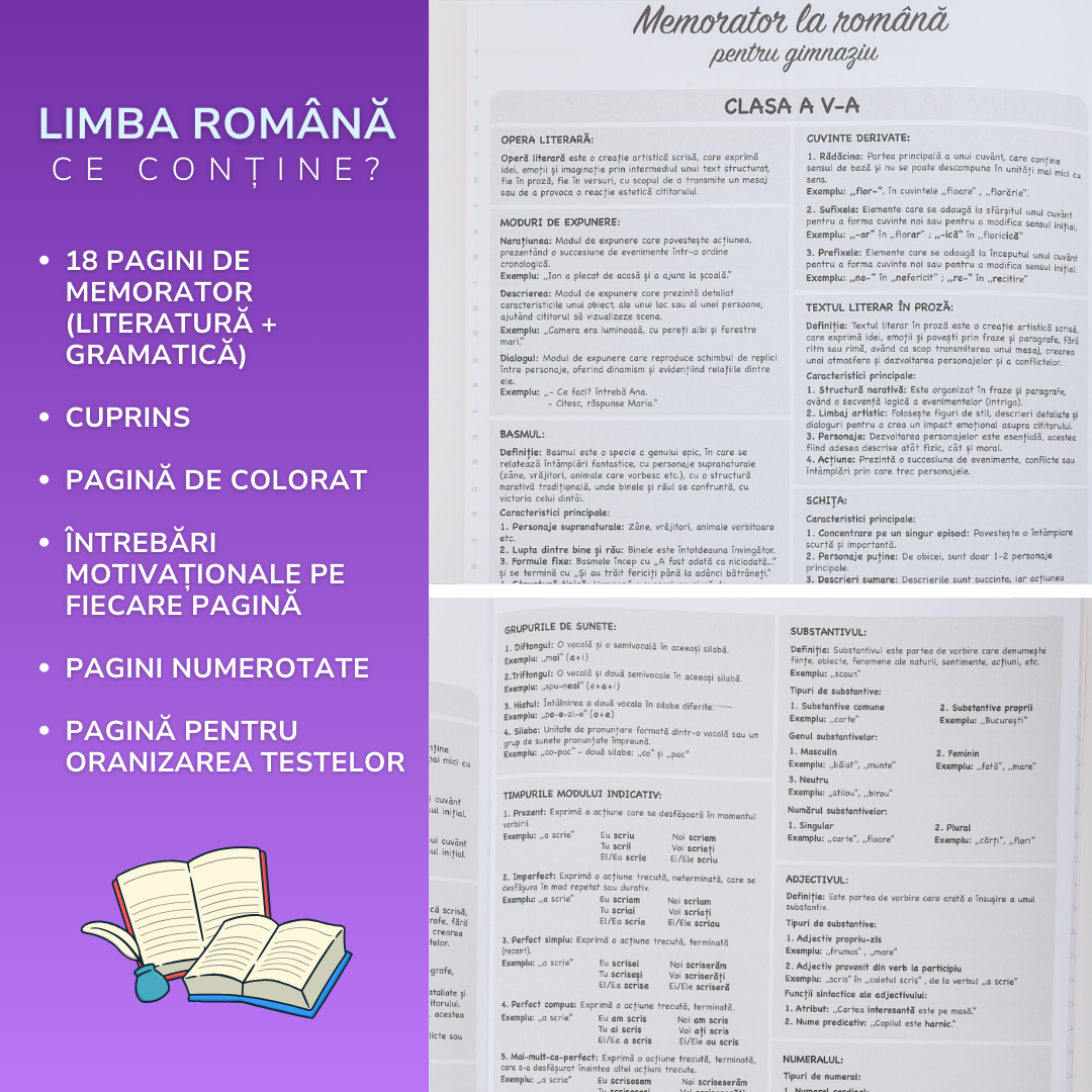 Pachete Complete pentru clasa a VI-a