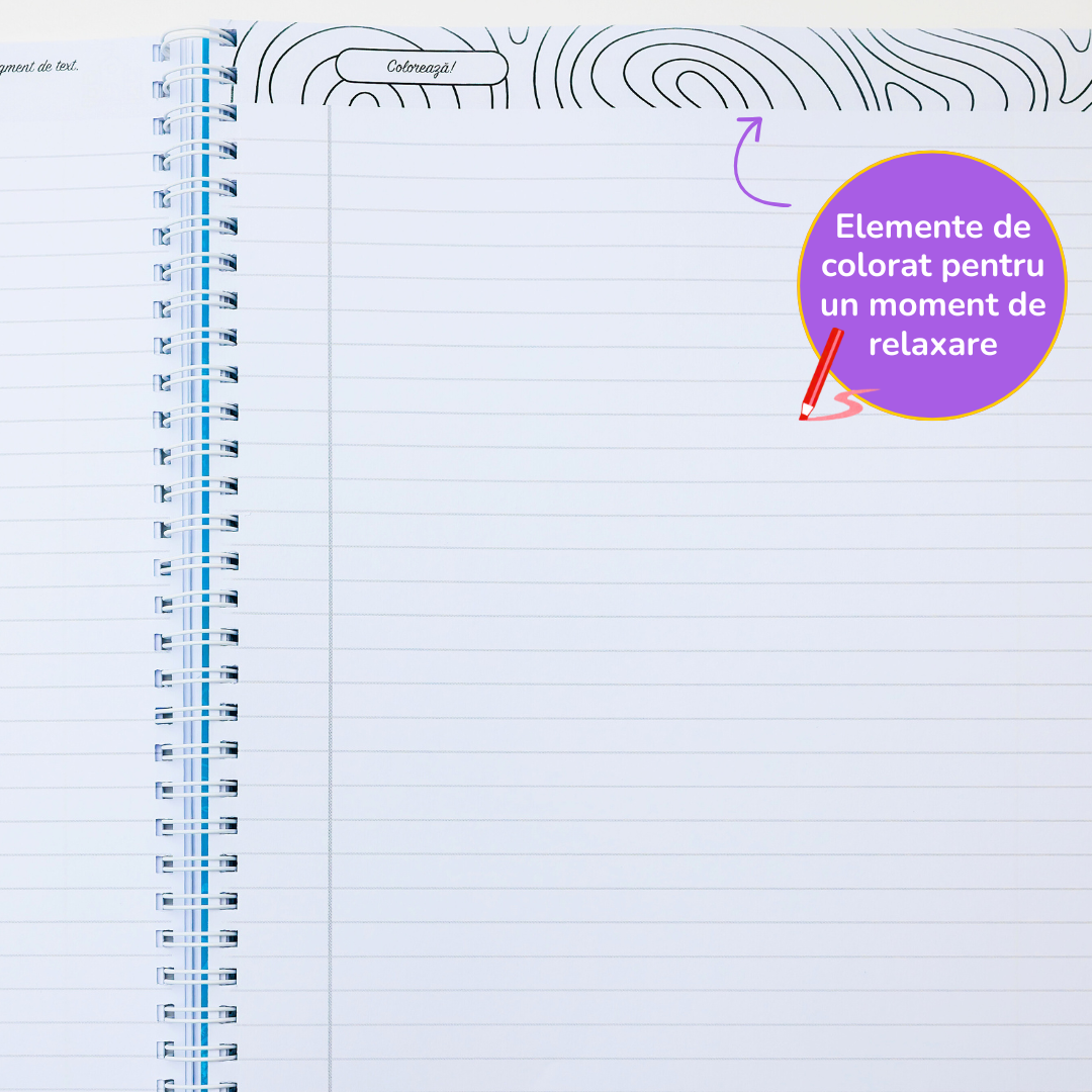 Pachet Complet de Pregătire Evaluarea Națională: Algebră, Geometrie & Limba Română (106 pagini de teorie)