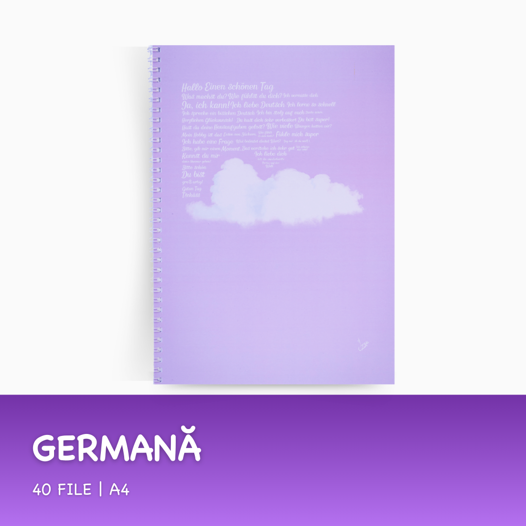 Set de 6 Caiete: Mate, Română, Istorie, Engleză, Franceză, Ed. tehnologică