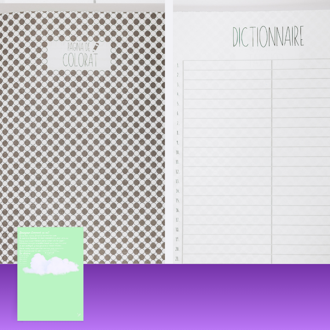 7+ 1 GRATIS: Pachet Personalizat de Caiete