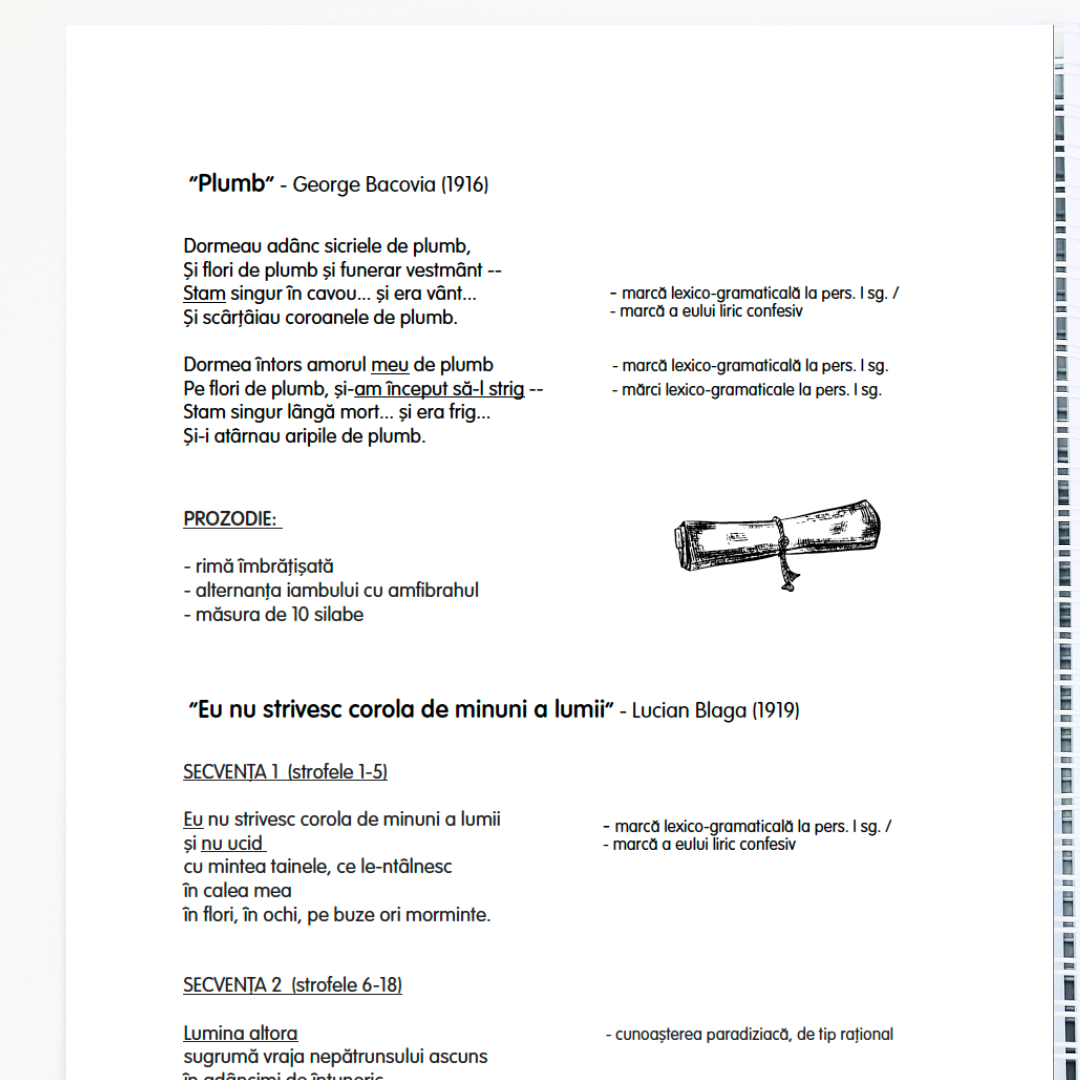 Caiet de Lucru pentru BAC – Limba și Literatura Română (clasa a XII-a)