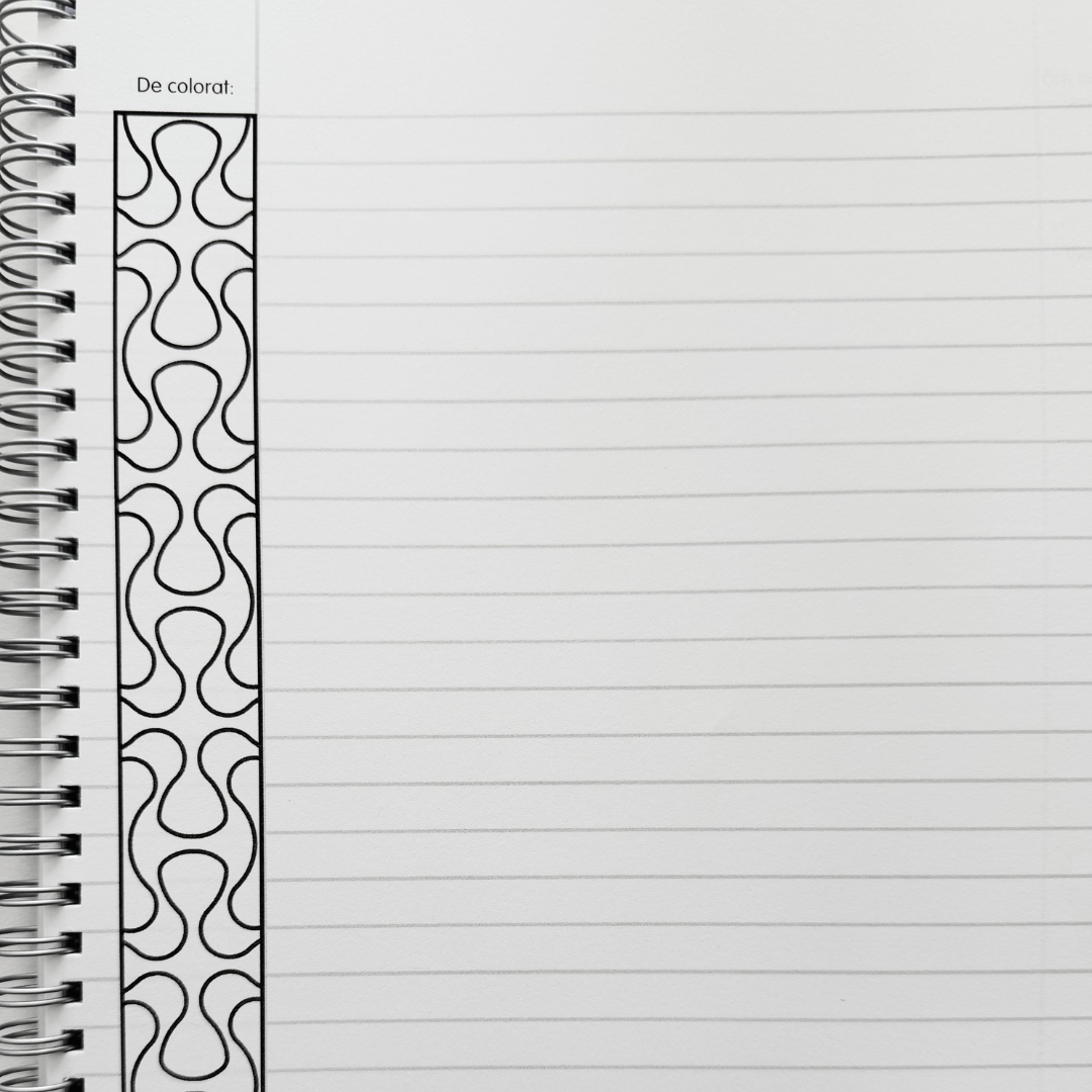 Caiet Izzie clasa a 9-a: Limba și Literatura Română (liceu)