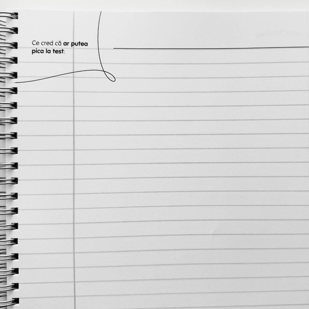 Caiet Izzie clasa a 9-a: Limba și Literatura Română (liceu)