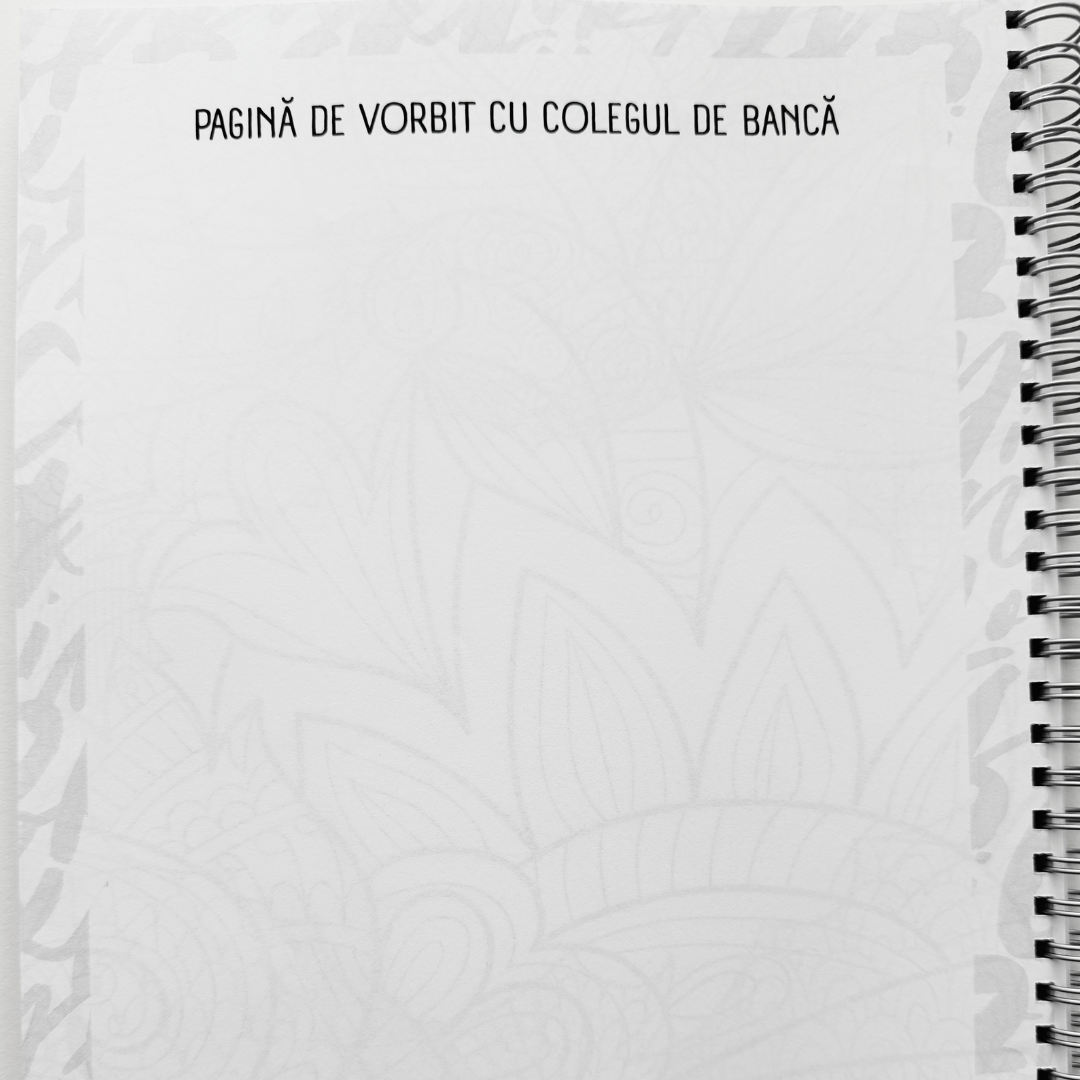 Caiet Izzie clasa a 9-a: Limba și Literatura Română (liceu)