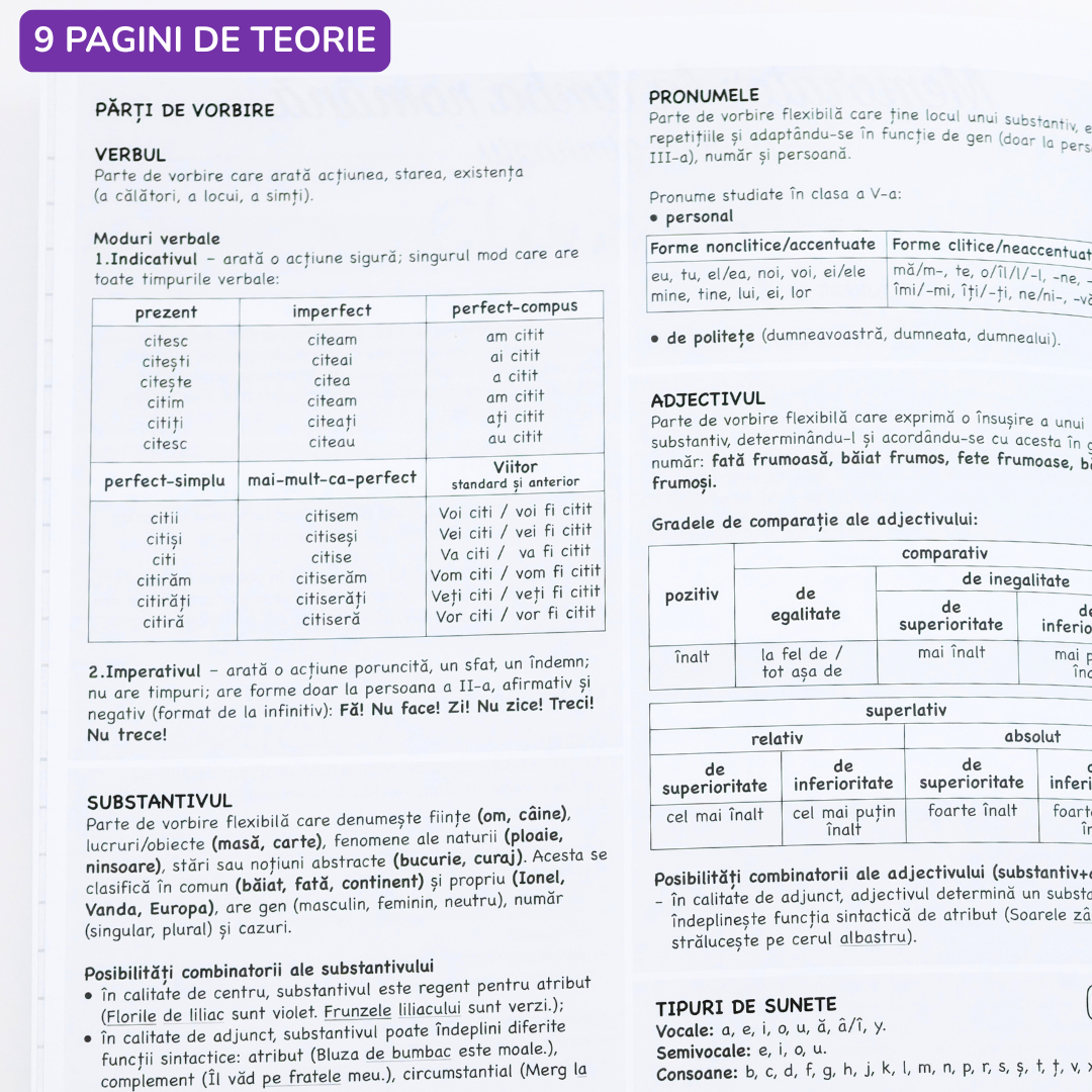 Caiet Izzie de Română – pagini cu întrebări